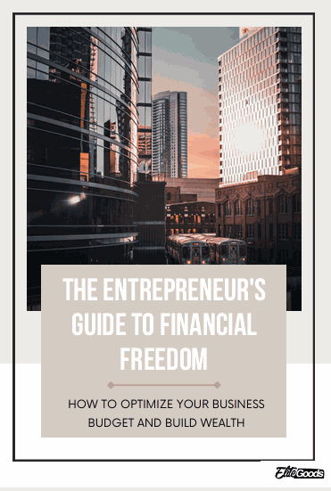 eBook cover for "The Entrepreneur's Guide to Financial Freedom" featuring modern cityscape background.